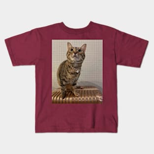 cat lover gifts Kids T-Shirt